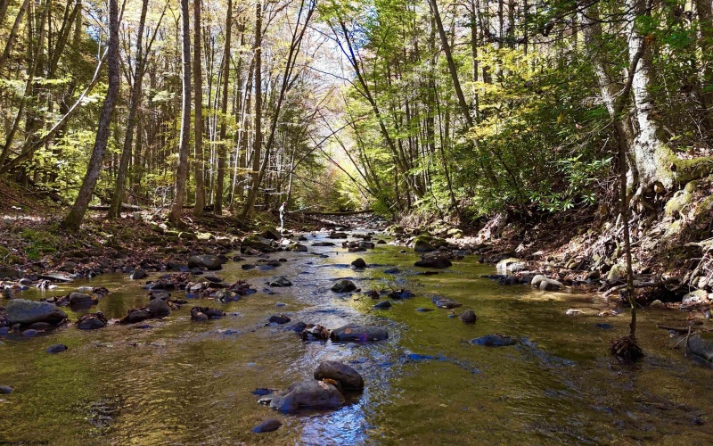 2453 Channel Road, Mill Creek, West Virginia 26280, ,Lots/land,For Sale,Channel,10157262 2453 Channel Road, Mill Creek, West Virginia 26280, ,Lots/land,For Sale,Channel,10157262