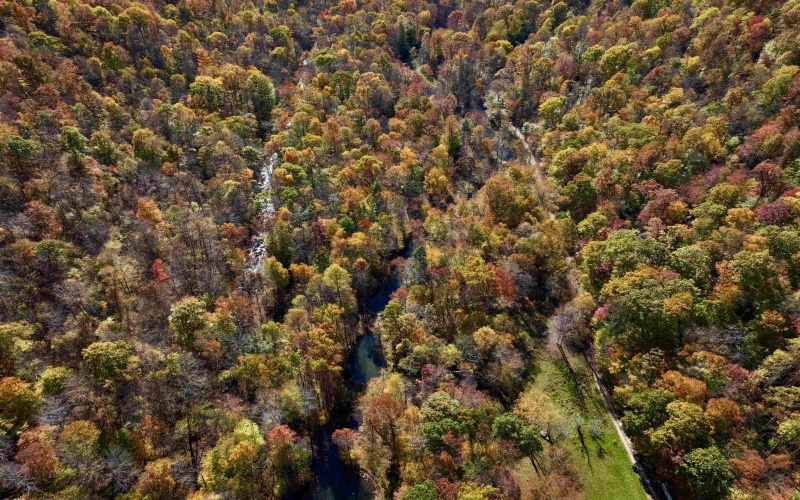 2453 Channel Road, Mill Creek, West Virginia 26280, ,Lots/land,For Sale,Channel,10157262 2453 Channel Road, Mill Creek, West Virginia 26280, ,Lots/land,For Sale,Channel,10157262