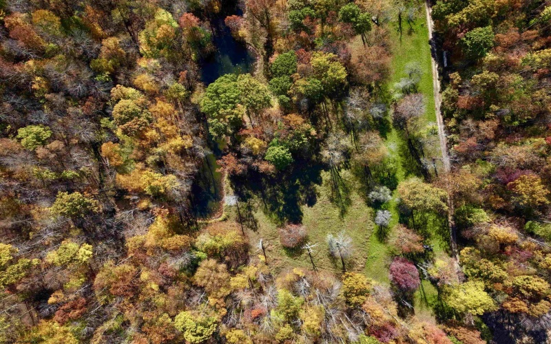 2453 Channel Road, Mill Creek, West Virginia 26280, ,Lots/land,For Sale,Channel,10157262 2453 Channel Road, Mill Creek, West Virginia 26280, ,Lots/land,For Sale,Channel,10157262