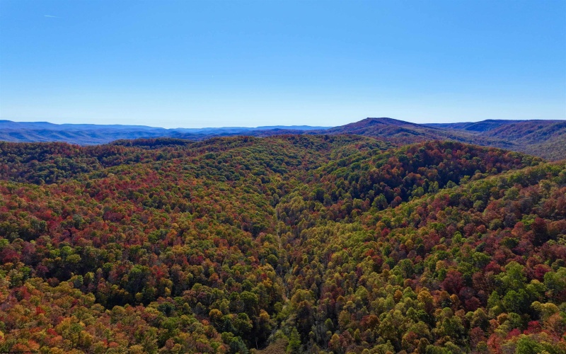 2453 Channel Road, Mill Creek, West Virginia 26280, ,Lots/land,For Sale,Channel,10157262 2453 Channel Road, Mill Creek, West Virginia 26280, ,Lots/land,For Sale,Channel,10157262