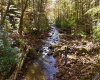 2453 Channel Road, Mill Creek, West Virginia 26280, ,Lots/land,For Sale,Channel,10157262 2453 Channel Road, Mill Creek, West Virginia 26280, ,Lots/land,For Sale,Channel,10157262