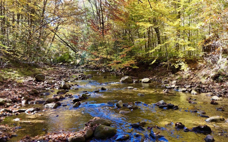 2453 Channel Road, Mill Creek, West Virginia 26280, ,Lots/land,For Sale,Channel,10157262 2453 Channel Road, Mill Creek, West Virginia 26280, ,Lots/land,For Sale,Channel,10157262