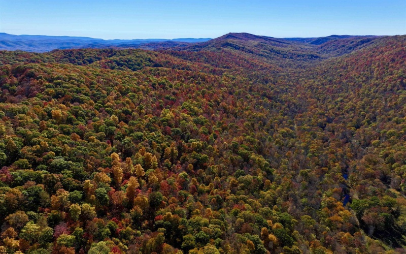 2453 Channel Road, Mill Creek, West Virginia 26280, ,Lots/land,For Sale,Channel,10157262 2453 Channel Road, Mill Creek, West Virginia 26280, ,Lots/land,For Sale,Channel,10157262