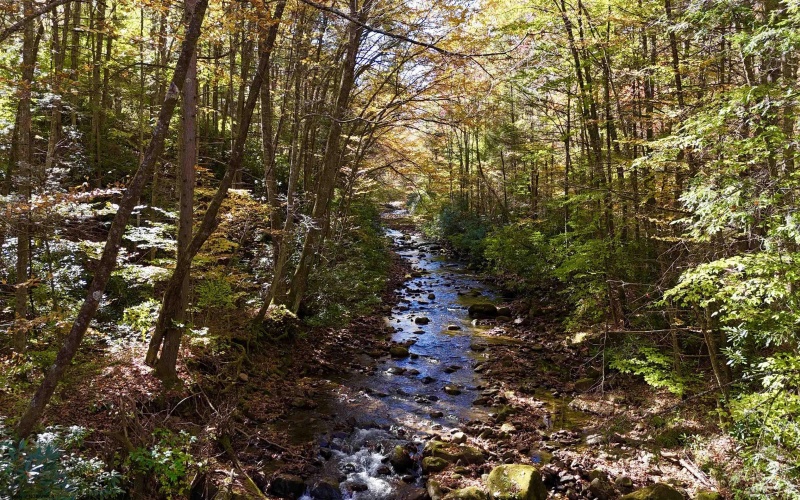 2453 Channel Road, Mill Creek, West Virginia 26280, ,Lots/land,For Sale,Channel,10157262 2453 Channel Road, Mill Creek, West Virginia 26280, ,Lots/land,For Sale,Channel,10157262
