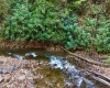 2453 Channel Road, Mill Creek, West Virginia 26280, ,Lots/land,For Sale,Channel,10157262 2453 Channel Road, Mill Creek, West Virginia 26280, ,Lots/land,For Sale,Channel,10157262