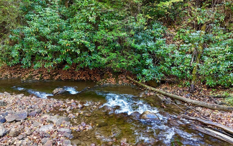2453 Channel Road, Mill Creek, West Virginia 26280, ,Lots/land,For Sale,Channel,10157262 2453 Channel Road, Mill Creek, West Virginia 26280, ,Lots/land,For Sale,Channel,10157262