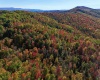 2453 Channel Road, Mill Creek, West Virginia 26280, ,Lots/land,For Sale,Channel,10157262 2453 Channel Road, Mill Creek, West Virginia 26280, ,Lots/land,For Sale,Channel,10157262