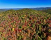 2453 Channel Road, Mill Creek, West Virginia 26280, ,Lots/land,For Sale,Channel,10157262 2453 Channel Road, Mill Creek, West Virginia 26280, ,Lots/land,For Sale,Channel,10157262