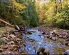 2453 Channel Road, Mill Creek, West Virginia 26280, ,Lots/land,For Sale,Channel,10157262 2453 Channel Road, Mill Creek, West Virginia 26280, ,Lots/land,For Sale,Channel,10157262