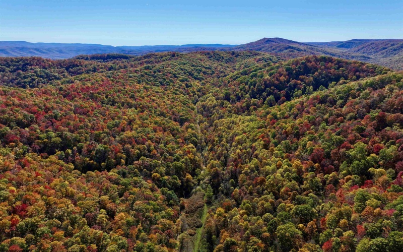 2453 Channel Road, Mill Creek, West Virginia 26280, ,Lots/land,For Sale,Channel,10157262 2453 Channel Road, Mill Creek, West Virginia 26280, ,Lots/land,For Sale,Channel,10157262