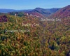 2453 Channel Road, Mill Creek, West Virginia 26280, ,Lots/land,For Sale,Channel,10157262 2453 Channel Road, Mill Creek, West Virginia 26280, ,Lots/land,For Sale,Channel,10157262