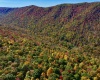 2453 Channel Road, Mill Creek, West Virginia 26280, ,Lots/land,For Sale,Channel,10157262 2453 Channel Road, Mill Creek, West Virginia 26280, ,Lots/land,For Sale,Channel,10157262