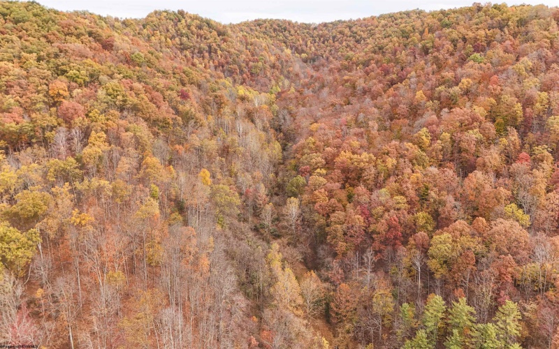 6614 WV Route 23 North, Salem, West Virginia 26426, ,Lots/land,For Sale,WV Route 23,10162143 6614 WV Route 23 North, Salem, West Virginia 26426, ,Lots/land,For Sale,WV Route 23,10162143