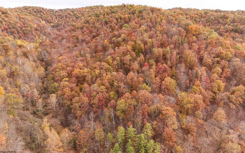 6614 WV Route 23 North, Salem, West Virginia 26426, ,Lots/land,For Sale,WV Route 23,10162143 6614 WV Route 23 North, Salem, West Virginia 26426, ,Lots/land,For Sale,WV Route 23,10162143