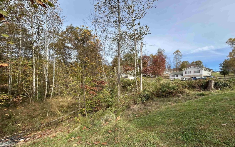245 Coventry Drive, Bridgeport, West Virginia 26330, ,Lots/land,For Sale,Coventry,10162163 245 Coventry Drive, Bridgeport, West Virginia 26330, ,Lots/land,For Sale,Coventry,10162163