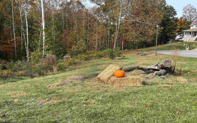 245 Coventry Drive, Bridgeport, West Virginia 26330, ,Lots/land,For Sale,Coventry,10162163 245 Coventry Drive, Bridgeport, West Virginia 26330, ,Lots/land,For Sale,Coventry,10162163