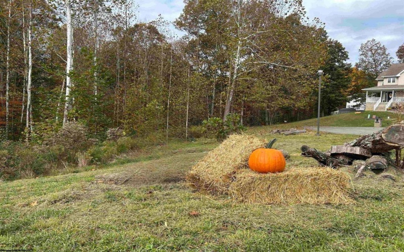 245 Coventry Drive, Bridgeport, West Virginia 26330, ,Lots/land,For Sale,Coventry,10162163 245 Coventry Drive, Bridgeport, West Virginia 26330, ,Lots/land,For Sale,Coventry,10162163