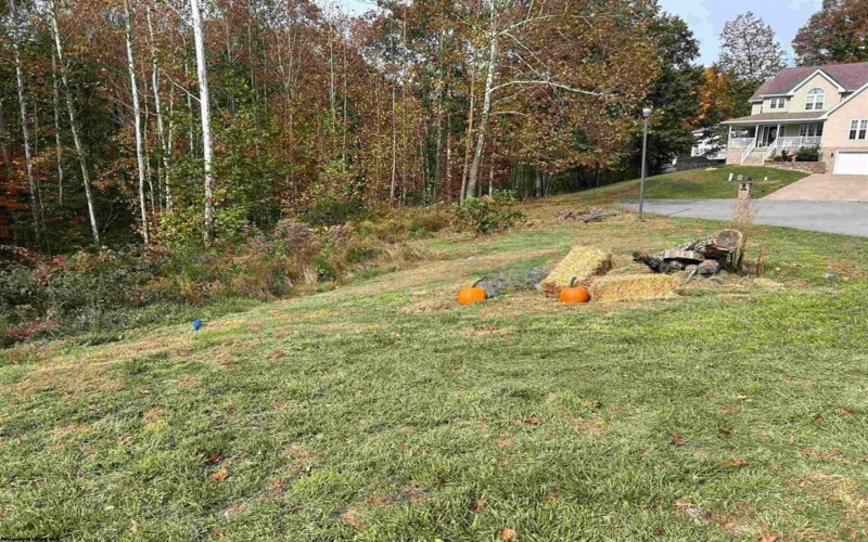 245 Coventry Drive, Bridgeport, West Virginia 26330, ,Lots/land,For Sale,Coventry,10162163 245 Coventry Drive, Bridgeport, West Virginia 26330, ,Lots/land,For Sale,Coventry,10162163