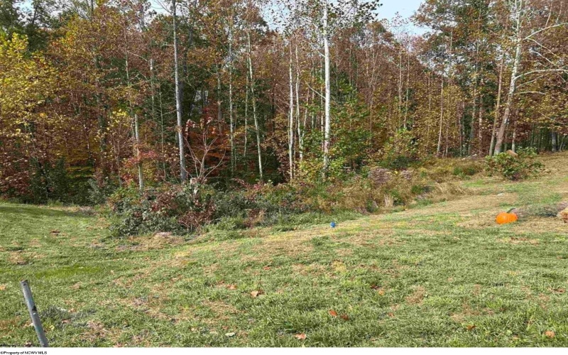 245 Coventry Drive, Bridgeport, West Virginia 26330, ,Lots/land,For Sale,Coventry,10162163 245 Coventry Drive, Bridgeport, West Virginia 26330, ,Lots/land,For Sale,Coventry,10162163