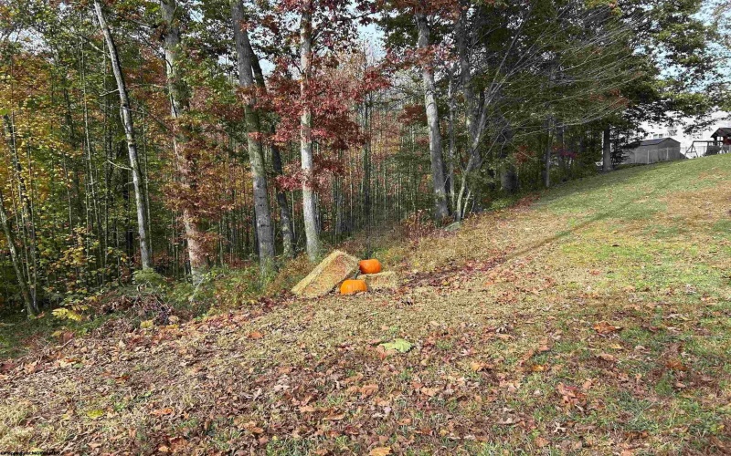 247 Coventry Drive, Bridgeport, West Virginia 26330, ,Lots/land,For Sale,Coventry,10162165