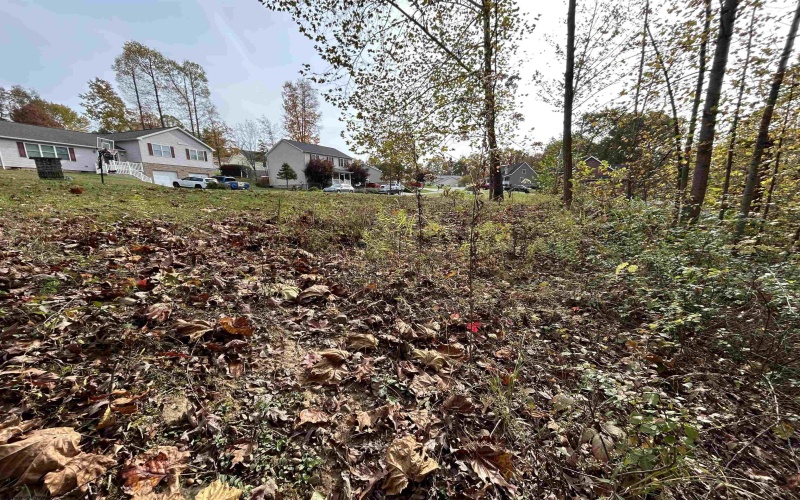 247 Coventry Drive, Bridgeport, West Virginia 26330, ,Lots/land,For Sale,Coventry,10162165