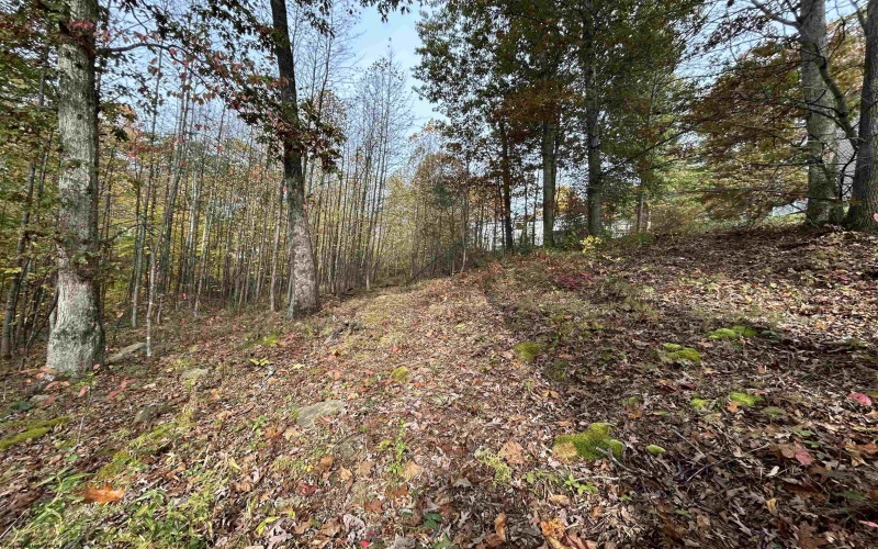 247 Coventry Drive, Bridgeport, West Virginia 26330, ,Lots/land,For Sale,Coventry,10162165