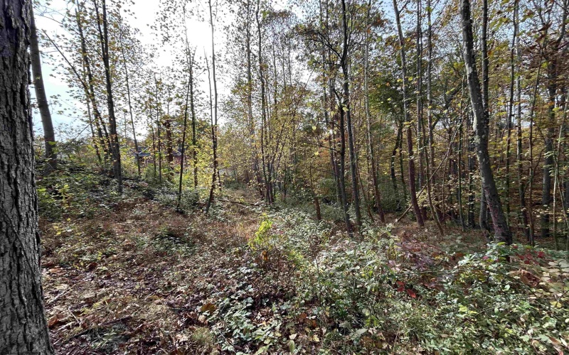 247 Coventry Drive, Bridgeport, West Virginia 26330, ,Lots/land,For Sale,Coventry,10162165