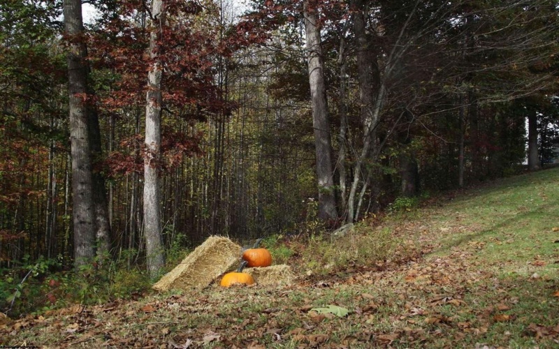 247 Coventry Drive, Bridgeport, West Virginia 26330, ,Lots/land,For Sale,Coventry,10162165