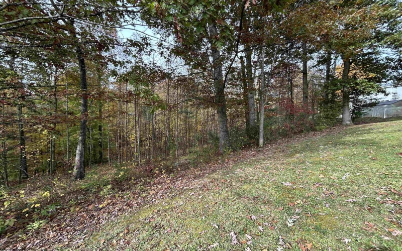 247 Coventry Drive, Bridgeport, West Virginia 26330, ,Lots/land,For Sale,Coventry,10162165