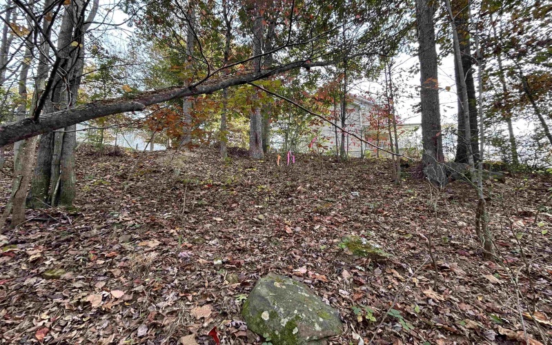247 Coventry Drive, Bridgeport, West Virginia 26330, ,Lots/land,For Sale,Coventry,10162165