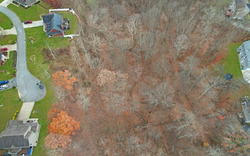 247 Coventry Drive, Bridgeport, West Virginia 26330, ,Lots/land,For Sale,Coventry,10162165 247 Coventry Drive, Bridgeport, West Virginia 26330, ,Lots/land,For Sale,Coventry,10162165