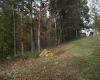 247 Coventry Drive, Bridgeport, West Virginia 26330, ,Lots/land,For Sale,Coventry,10162165
