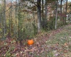 247 Coventry Drive, Bridgeport, West Virginia 26330, ,Lots/land,For Sale,Coventry,10162165