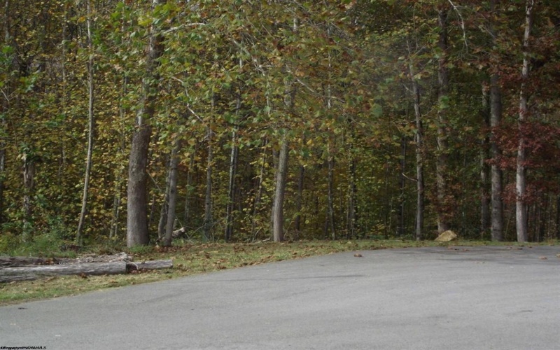 247 Coventry Drive, Bridgeport, West Virginia 26330, ,Lots/land,For Sale,Coventry,10162165