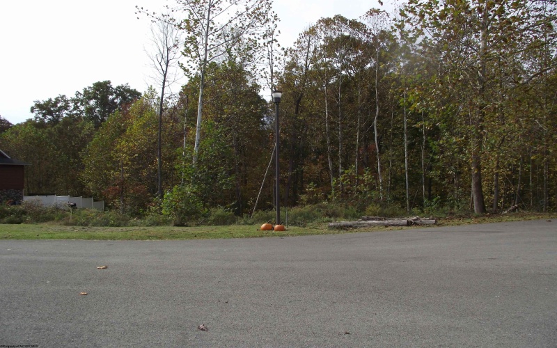 247 Coventry Drive, Bridgeport, West Virginia 26330, ,Lots/land,For Sale,Coventry,10162165