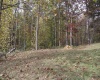 247 Coventry Drive, Bridgeport, West Virginia 26330, ,Lots/land,For Sale,Coventry,10162165