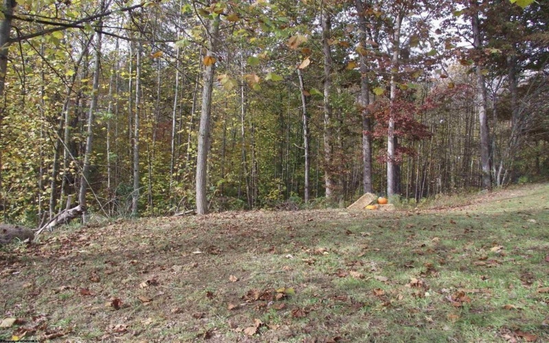247 Coventry Drive, Bridgeport, West Virginia 26330, ,Lots/land,For Sale,Coventry,10162165