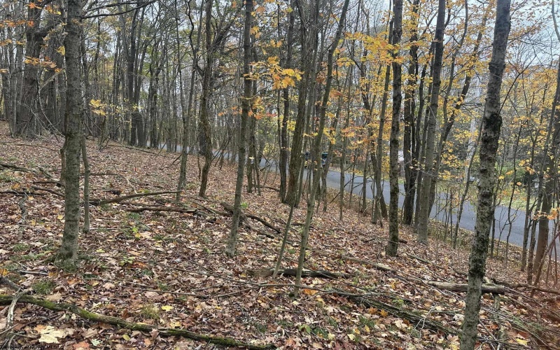 125/51 Alpine Drive, Terra Alta, West Virginia 26764, ,Lots/land,For Sale,Alpine,10162166 125/51 Alpine Drive, Terra Alta, West Virginia 26764, ,Lots/land,For Sale,Alpine,10162166