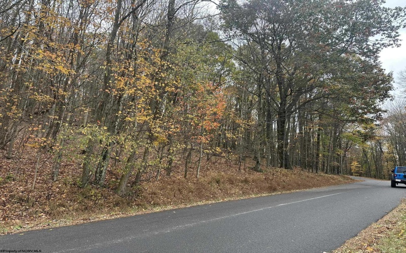 125/51 Alpine Drive, Terra Alta, West Virginia 26764, ,Lots/land,For Sale,Alpine,10162166 125/51 Alpine Drive, Terra Alta, West Virginia 26764, ,Lots/land,For Sale,Alpine,10162166