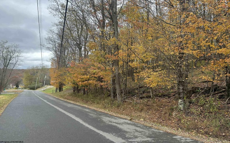 125/51 Alpine Drive, Terra Alta, West Virginia 26764, ,Lots/land,For Sale,Alpine,10162166 125/51 Alpine Drive, Terra Alta, West Virginia 26764, ,Lots/land,For Sale,Alpine,10162166