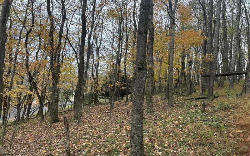 125/51 Alpine Drive, Terra Alta, West Virginia 26764, ,Lots/land,For Sale,Alpine,10162166 125/51 Alpine Drive, Terra Alta, West Virginia 26764, ,Lots/land,For Sale,Alpine,10162166