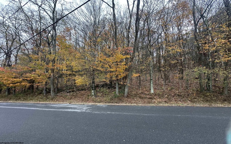 125/51 Alpine Drive, Terra Alta, West Virginia 26764, ,Lots/land,For Sale,Alpine,10162166 125/51 Alpine Drive, Terra Alta, West Virginia 26764, ,Lots/land,For Sale,Alpine,10162166