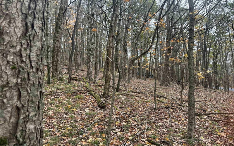 125/51 Alpine Drive, Terra Alta, West Virginia 26764, ,Lots/land,For Sale,Alpine,10162166 125/51 Alpine Drive, Terra Alta, West Virginia 26764, ,Lots/land,For Sale,Alpine,10162166