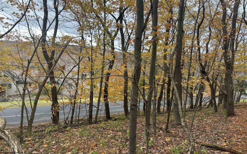 125/51 Alpine Drive, Terra Alta, West Virginia 26764, ,Lots/land,For Sale,Alpine,10162166 125/51 Alpine Drive, Terra Alta, West Virginia 26764, ,Lots/land,For Sale,Alpine,10162166