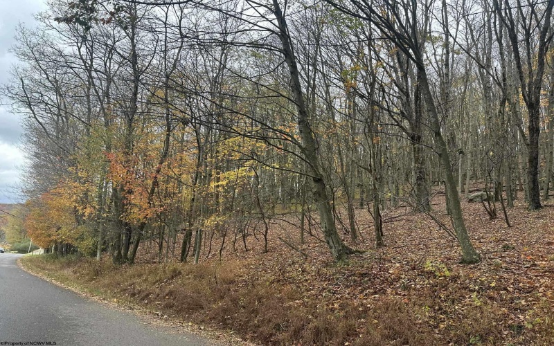 125/51 Alpine Drive, Terra Alta, West Virginia 26764, ,Lots/land,For Sale,Alpine,10162166 125/51 Alpine Drive, Terra Alta, West Virginia 26764, ,Lots/land,For Sale,Alpine,10162166