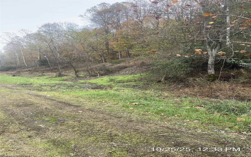 390 Hog Heaven Farm Road, Philippi, West Virginia 26408, 3 Bedrooms Bedrooms, 6 Rooms Rooms,2 BathroomsBathrooms,Single Family Detached,For Sale,Hog Heaven Farm,10162189 390 Hog Heaven Farm Road, Philippi, West Virginia 26408, 3 Bedrooms Bedrooms, 6 Rooms Rooms,2 BathroomsBathrooms,Single Family Detached,For Sale,Hog Heaven Farm,10162189