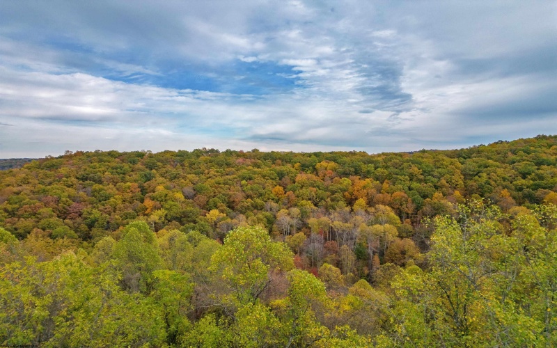 2630 Johnson Fork, Salem, West Virginia 26426, 2 Bedrooms Bedrooms, 5 Rooms Rooms,2 BathroomsBathrooms,Single Family Detached,For Sale,Johnson,10162190 2630 Johnson Fork, Salem, West Virginia 26426, 2 Bedrooms Bedrooms, 5 Rooms Rooms,2 BathroomsBathrooms,Single Family Detached,For Sale,Johnson,10162190