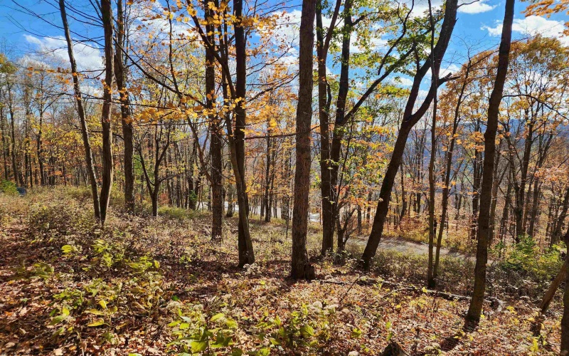 20 Meadows Road, Harman, West Virginia 26270, ,Lots/land,For Sale,Meadows,10162193 20 Meadows Road, Harman, West Virginia 26270, ,Lots/land,For Sale,Meadows,10162193