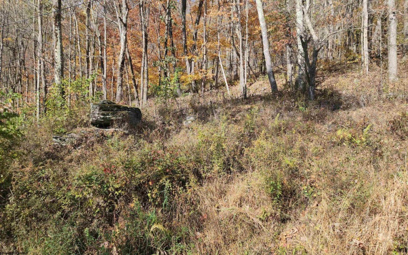 20 Meadows Road, Harman, West Virginia 26270, ,Lots/land,For Sale,Meadows,10162193 20 Meadows Road, Harman, West Virginia 26270, ,Lots/land,For Sale,Meadows,10162193