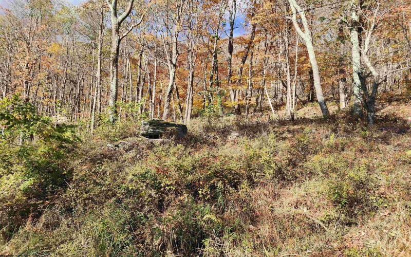 20 Meadows Road, Harman, West Virginia 26270, ,Lots/land,For Sale,Meadows,10162193 20 Meadows Road, Harman, West Virginia 26270, ,Lots/land,For Sale,Meadows,10162193